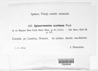 Image Associated With the Occurrence